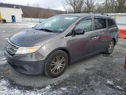 Honda salvage cars for sale: 2013 Honda Odyssey EXL