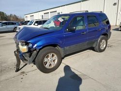 Ford Escape salvage cars for sale: 2005 Ford Escape XLT