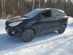 Hyundai Tucson salvage cars for sale: 2011 Hyundai Tucson GLS