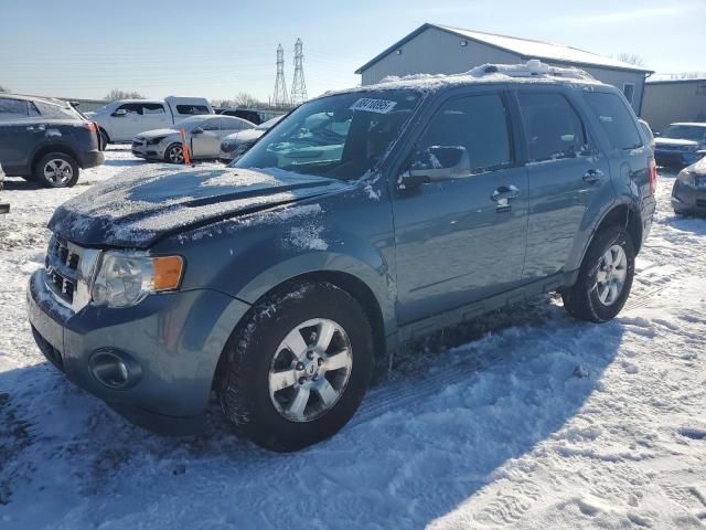 2010 Ford Escape Limited