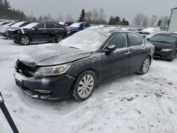 Honda salvage cars for sale: 2013 Honda Accord EXL