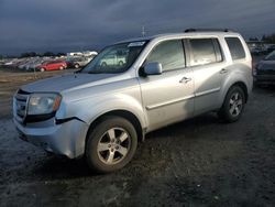 Honda salvage cars for sale: 2010 Honda Pilot EXL