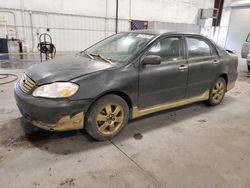 2003 Toyota Corolla CE for sale in Avon, MN