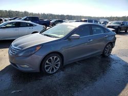 Hyundai Sonata salvage cars for sale: 2013 Hyundai Sonata SE