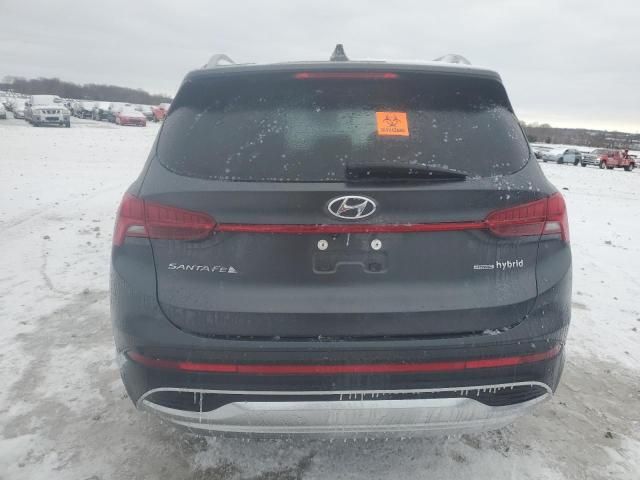 2023 Hyundai Santa FE SEL Premium