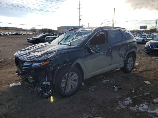 2022 Hyundai Tucson Blue