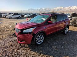 Ford salvage cars for sale: 2013 Ford Escape SE