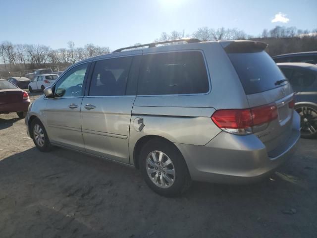 2008 Honda Odyssey EXL