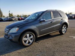 2010 Mercedes-Benz ML 350 for sale in Rancho Cucamonga, CA