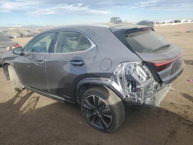 2021 Lexus UX 250H