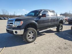 Ford f-150 salvage cars for sale: 2013 Ford F150 Supercrew