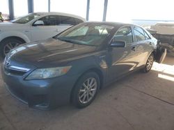 2010 Toyota Camry Hybrid for sale in Phoenix, AZ