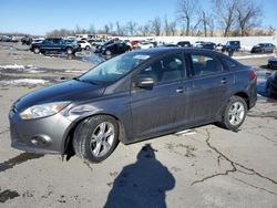 2014 Ford Focus SE for sale in Bridgeton, MO