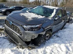 2024 Toyota Rav4 XLE for sale in Waldorf, MD