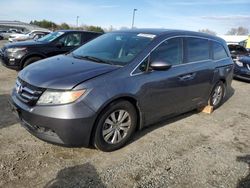 Honda Odyssey salvage cars for sale: 2016 Honda Odyssey SE