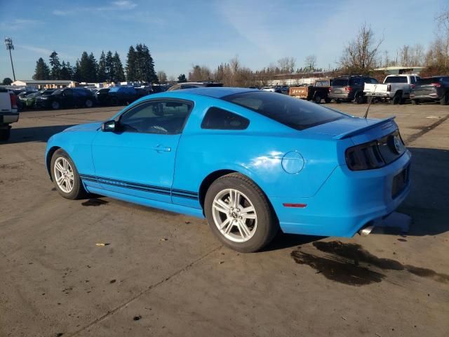 2013 Ford Mustang