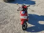 2008 Genuine Scooter Co. Buddy 50