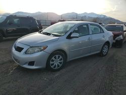 Toyota Corolla salvage cars for sale: 2010 Toyota Corolla Base