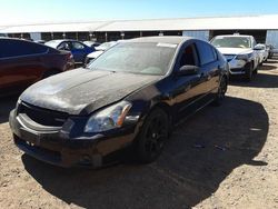 2007 Nissan Maxima SE for sale in Phoenix, AZ