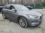 2020 Infiniti QX50 Pure