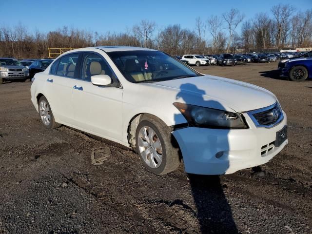 2009 Honda Accord EXL