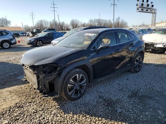 2019 Lexus UX 250H