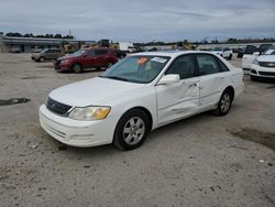 Salvage cars for sale from Copart Harleyville, SC: 2001 Toyota Avalon XL