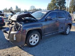 2013 GMC Terrain SLT for sale in Graham, WA