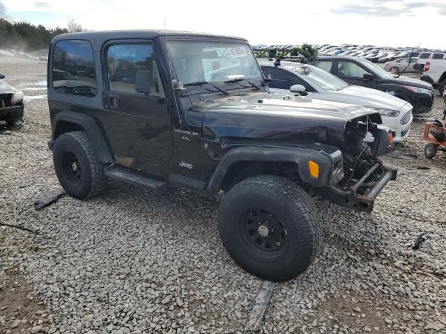 2002 Jeep Wrangler / TJ X