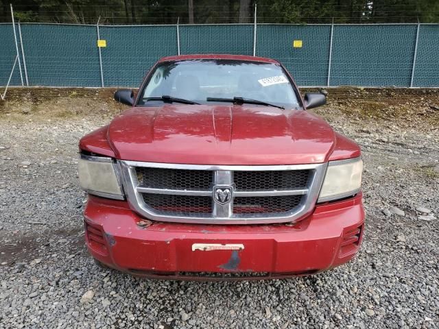 2008 Dodge Dakota SXT