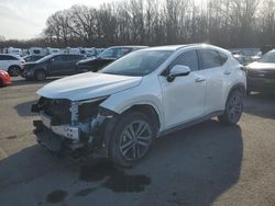 Lexus salvage cars for sale: 2023 Lexus NX 450H