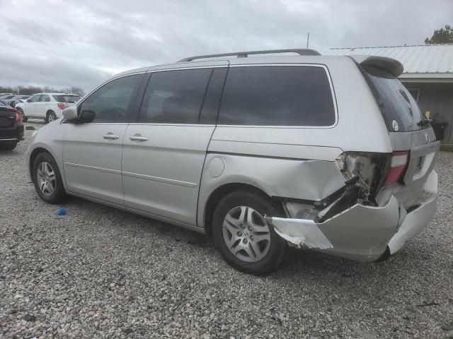 2005 Honda Odyssey EXL