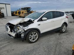 Ford salvage cars for sale: 2019 Ford Escape SE