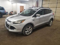 Ford Escape sel salvage cars for sale: 2013 Ford Escape SEL