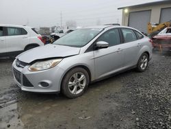 Ford Focus salvage cars for sale: 2014 Ford Focus SE