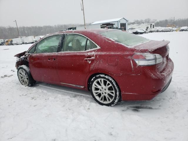 2010 Lexus HS 250H