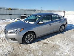 Hyundai Sonata salvage cars for sale: 2017 Hyundai Sonata SE