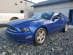 Ford salvage cars for sale: 2013 Ford Mustang