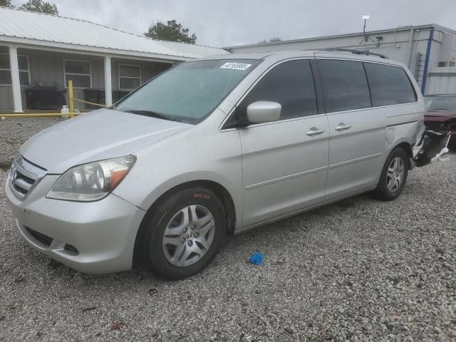 2005 Honda Odyssey EXL