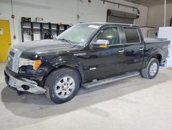 Ford salvage cars for sale: 2011 Ford F150 Supercrew