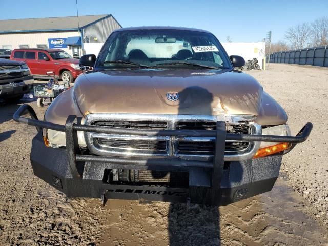 2000 Dodge Dakota Quattro