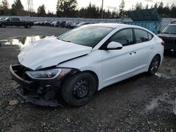 Hyundai Elantra salvage cars for sale: 2018 Hyundai Elantra SEL