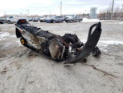 Other salvage cars for sale: 2004 Other 2004 'OTHER Snow MOBILE' Snowmobile