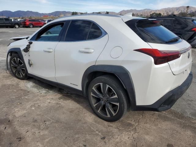 2019 Lexus UX 250H