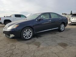 2010 Lexus ES 350 for sale in Bakersfield, CA