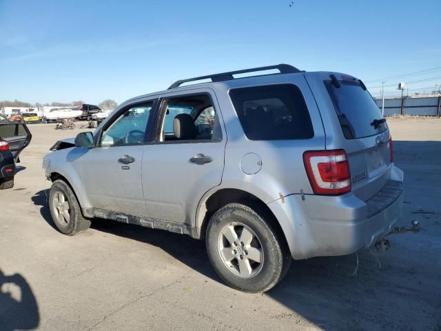 2009 Ford Escape XLT