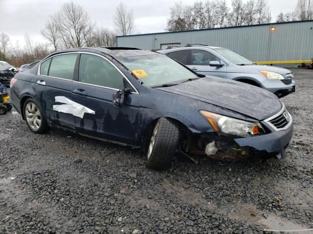 2010 Honda Accord EXL