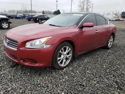 Nissan salvage cars for sale: 2014 Nissan Maxima S