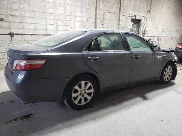 2009 Toyota Camry Hybrid