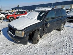 2007 Chevrolet Trailblazer LS for sale in Woodhaven, MI